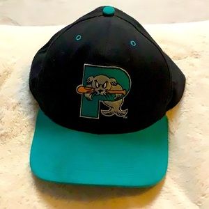 Classic Portland Seadogs hat!